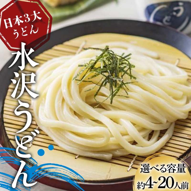 【ふるさと納税】 日本3大うどん 水沢うどん 容量が選べる 《商標登録の店が作った水沢うどん》 うどん 麺 麺類 加工品 食品 群馬県 渋川市 F4H-0431varのサムネイル