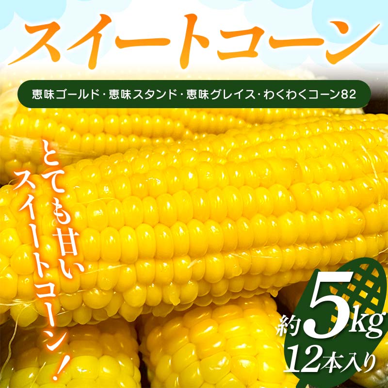 【ふるさと納税】 スイートコーン 約5kg（12本入り） とうもろこし トウモロコシ とうきび トウキビ コーン 野菜 食品 F4H-0520のサムネイル