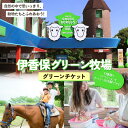 【ふるさと納税】10種類のアトラクションチケットを全部1回ずつ体験できる グリーンチケット F4H-0539