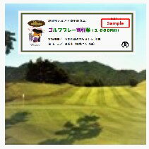 【ふるさと納税】藤岡市内4施設で使えるゴルフプレー割引券(3,000円×1枚)