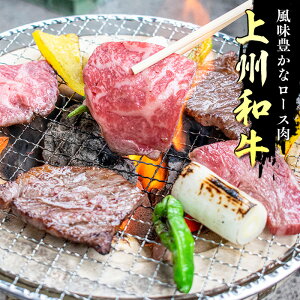 【ふるさと納税】群馬県産 上州和牛 ロース焼肉 A5ランク 400g F20E-085