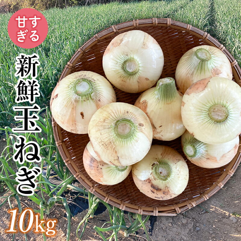 野菜・きのこ人気ランク18位　口コミ数「170件」評価「4.78」「【ふるさと納税】【先行予約】甘すぎる新鮮玉ねぎ 10kg F20E-681var」