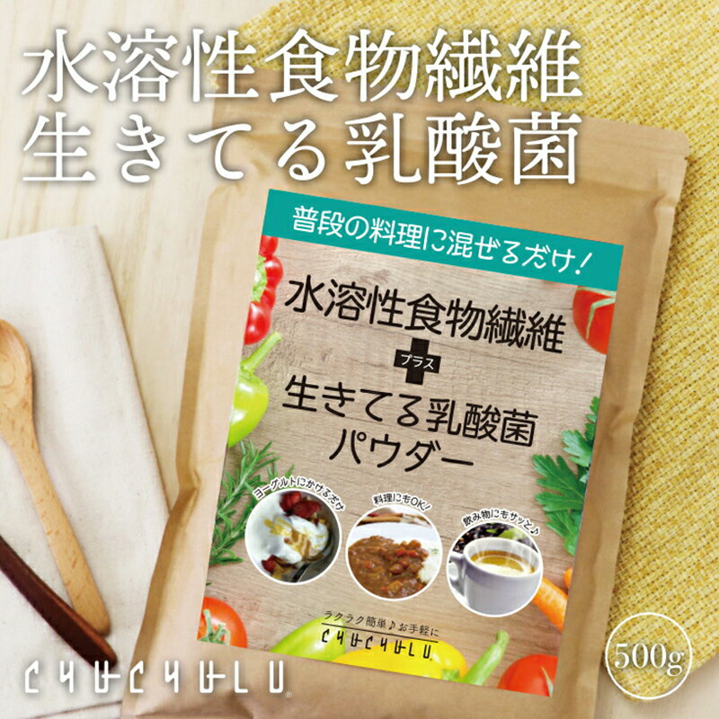 水溶性食物繊維+生きてる乳酸菌パウダー500g×2 F20E-816