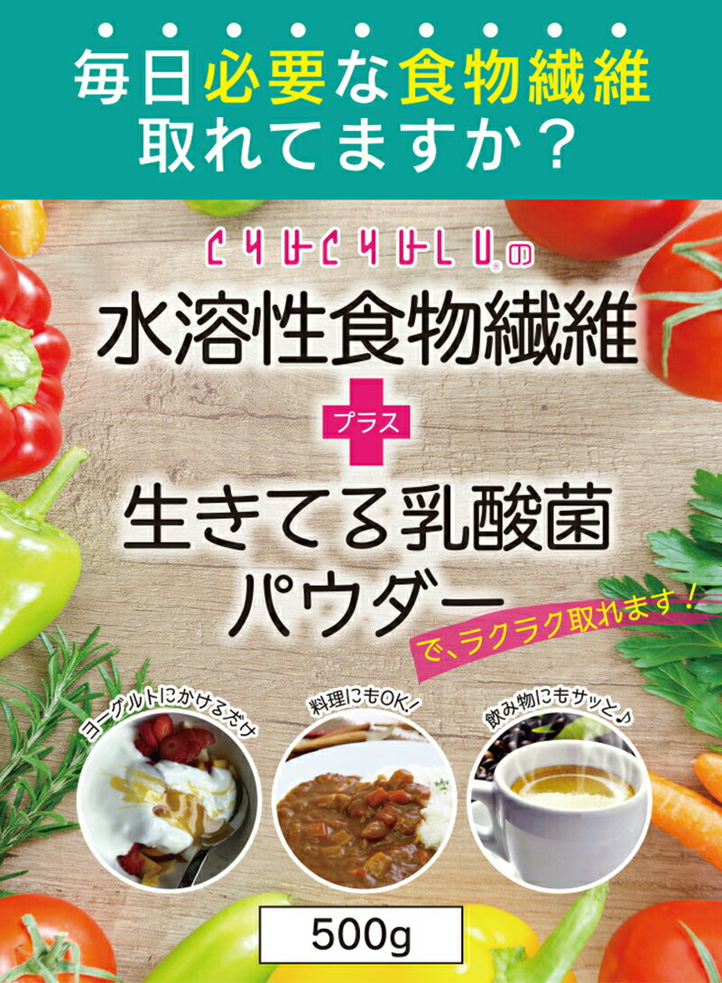 【ふるさと納税】 水溶性食物繊維＋生きてる乳酸菌パウダー500g×2 F20E-816