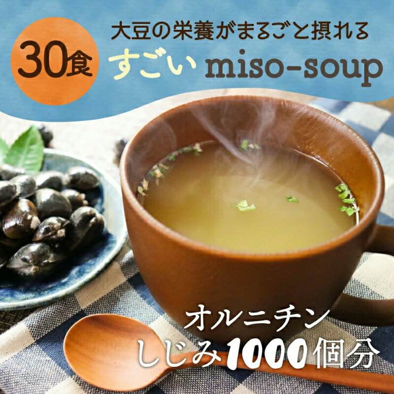 【ふるさと納税】 すごいmiso soup 30食セット 150g（5g×30食）x2 F20E-824