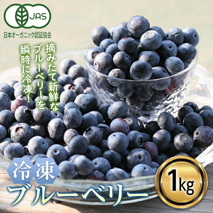 【ふるさと納税】 ＜有機JAS認定＞ 冷凍ブルーベリー (1kg) ブルーベリー JAS認定 農薬不使用 有機栽培 冷凍 フルーツベリー くだもの 果物 食品 F20E-848のサムネイル