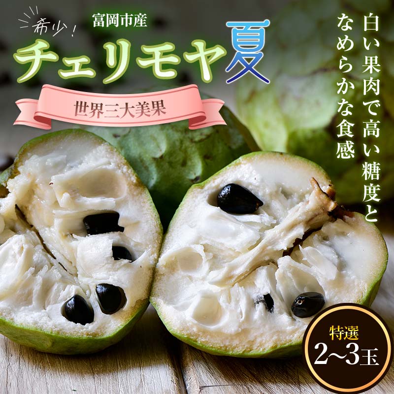 【ふるさと納税】世界三大美果 希少！富岡市産チェリモヤ（夏） F21E-063のサムネイル