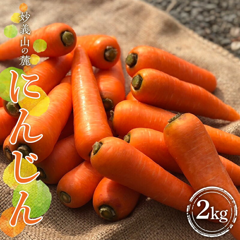 ڤդ뤵Ǽǡۢͽ ̯ϼ ˤ󤸤 2kg   ͻ ˥󥸥 ͭ Ť ʪ Ȥ   ϸ ٲ F21E-195