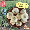 【ふるさと納税】 <2026年発送 先行予約>甘すぎる新鮮極早生玉ねぎ 5kg 減農薬減 化学肥料 生食 たまねぎ 玉ねぎ タマネギ 野菜 食品 F21E-465