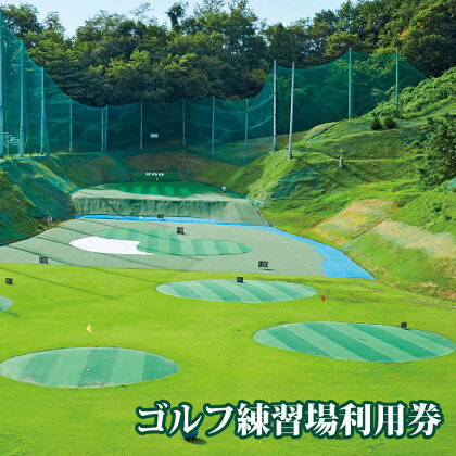 ゴルフ練習場利用券 350球分