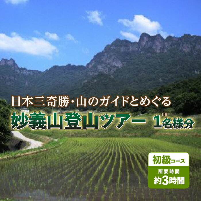 日本三奇勝・山のガイドとめぐる妙義山登山ツアー1名様分[初級コース] F20E-719