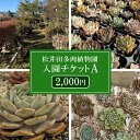 8位! 口コミ数「0件」評価「0」松井田多肉植物園チケットA（2,000円） ANAG002 ／ふるさと納税 観葉植物 多肉 多肉植物 苗 ポット ガーデニング インテリア ･･･ 