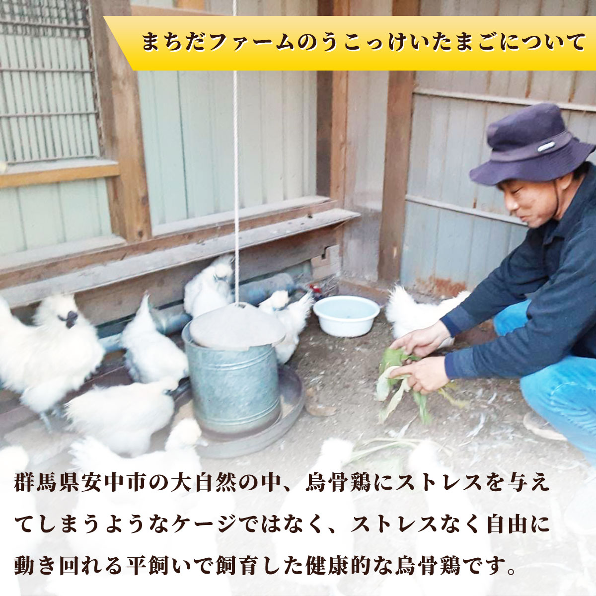 平飼い 東京うこっけいのたまご 28個＋4個／ たまご 卵 egg 烏骨鶏 平飼い 貴重 希少 濃厚 お取り寄せ 送料無料 群馬県