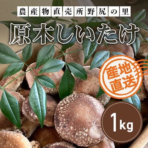 【ふるさと納税】【先行予約】原木しいたけ【1kg】※数量限定 ANAR005 / しいたけ シイタケ 椎茸 野菜 きのこ キノコ 茸 数量限定 冬の味覚 国産 群馬県産 先行予約 【ふるさと納税】【先行予約】原木しいたけ【1kg】※数量限定 ANAR005 / しいたけ シイタケ 椎茸 野菜 きのこ キノコ 茸 数量限定 冬の味覚 国産 群馬県産 先行予約