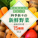 【ふるさと納税】四季折々の新鮮野菜詰め合わせ 旬をお届け! 【15種類以上】ANAR008
