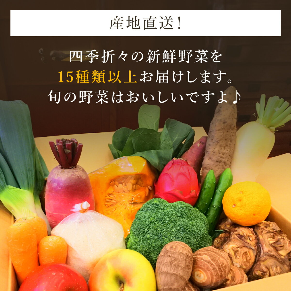 【ふるさと納税】四季折々の新鮮野菜詰め合わせ　旬をお届け!　【15種類以上】ANAR008