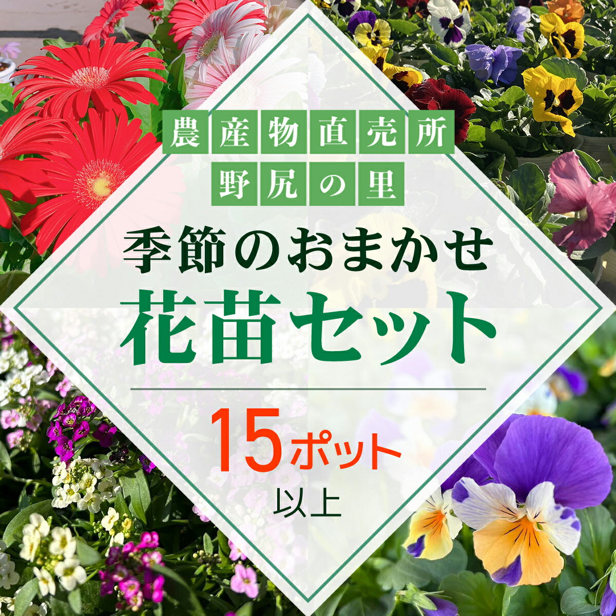 季節のおまかせ花苗セット[15ポット以上]