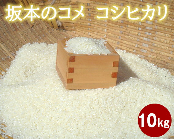 【ふるさと納税】坂本のコメ　コシヒカリ　10kg　【令和3年産】 ／ お米 精米 こしひかり 減農薬 減化学肥料米 群馬県