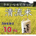 【ふるさと納税】No.380 コシヒカリ　10kg ／ お米 精米 こしひかり 送料無料 群馬県