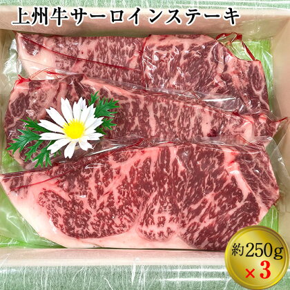 上州牛サーロインステーキ約250g×3 ANP003 ／ 牛肉 サーロインステーキ 送料無料 群馬県 特産品