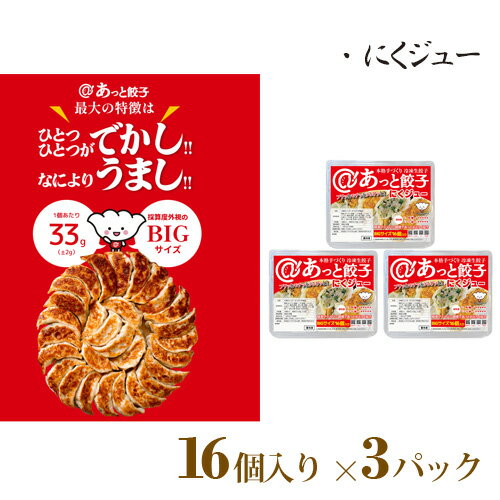 あっと餃子AR3セット(にくジュー3) / にんにく ギョウザ 送料無料 群馬県