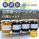 11位! 口コミ数「1件」評価「5」【21】Berry Jam