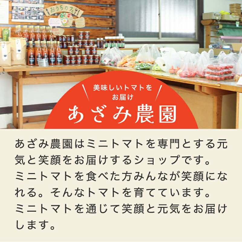 【ふるさと納税】【1】ミニトマト1kg