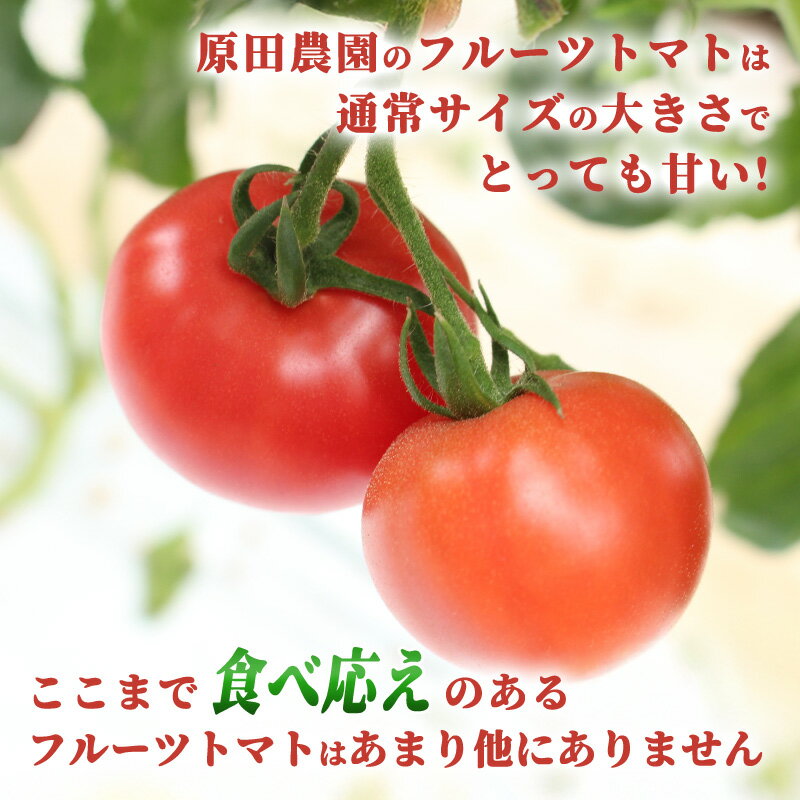 だいずデイズ 続けるだいずDAYS習慣 40g×5袋 3パック　父の日