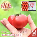 【ふるさと納税】【a010】フルーツトマト糖十郎(Mサイズ)