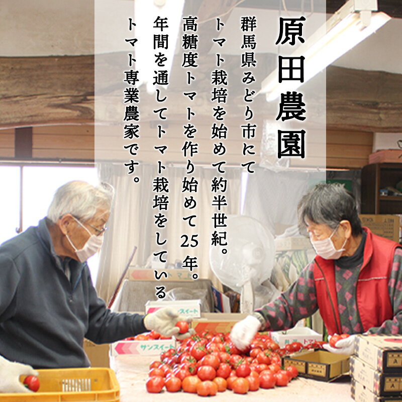 【ふるさと納税】【a013】フルーツトマト糖九郎（Mサイズ）