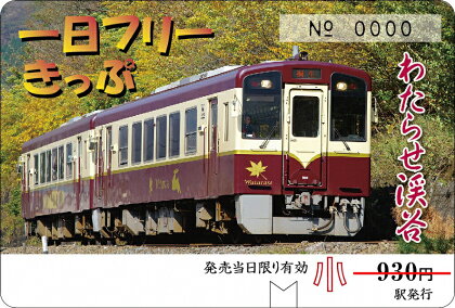 【49】わたらせ渓谷鐵道「トロッコ列車の旅セット」 ※こども1名用