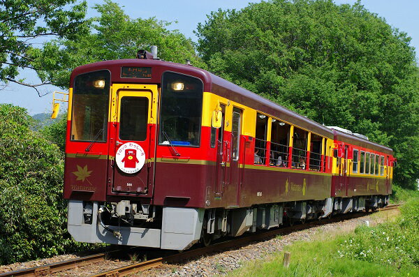 【ふるさと納税】【73】わたらせ渓谷鐡道「トロッコ列車の旅セット」※おとな1名用