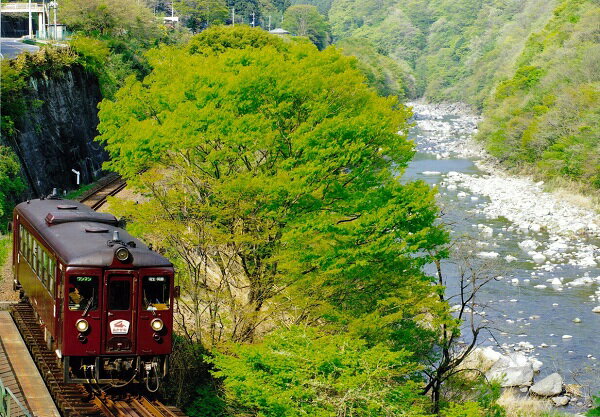 【ふるさと納税】【73】わたらせ渓谷鐡道「トロッコ列車の旅セット」※おとな1名用その2