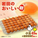 【ふるさと納税】岩田のおいしい卵 小玉破卵保証付き(49個+破卵保障5個/98個+破卵保障10個)【配送不可地域:離島】【G1092662】