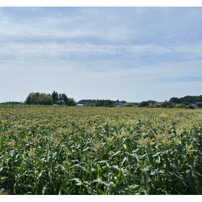 群馬県榛東村の画像2