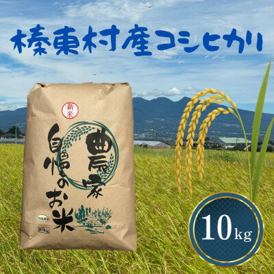 樂天商城 - 【ふるさと納税】【令和8年度産】お米コシヒカリ(精米) 10kg【ストロベリーみなみ】【1691178】