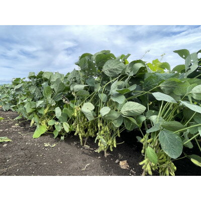 群馬県榛東村の画像3