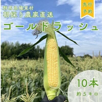トウモロコシ ゴールドラッシュ 10本