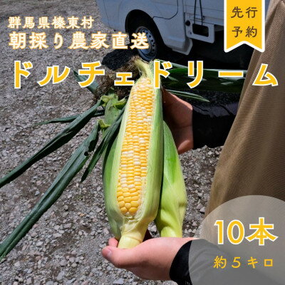 トウモロコシ ドルチェドリーム 10本
