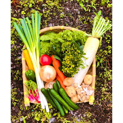 【ふるさと納税】八州高原マルシェ自慢の旬な野菜たち【配送不可地域:離島】【1039760】