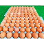 【ふるさと納税】岩田のおいしい卵　小玉98個+破卵保障10個入り【1092662】