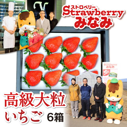 パティシエ鎧塚利彦氏とコラボしたストロベリーみなみの「高級大粒いちご」6箱 ※2018年12月〜2019年5月発送予定