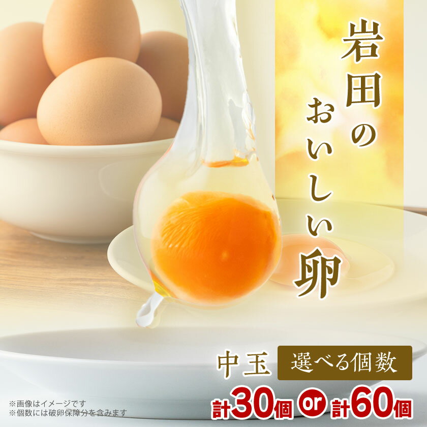 【ふるさと納税】岩田のおいしい卵実用中玉(30個/60個)_ 卵 たまご タマゴ 生卵 玉子 鶏卵  ...