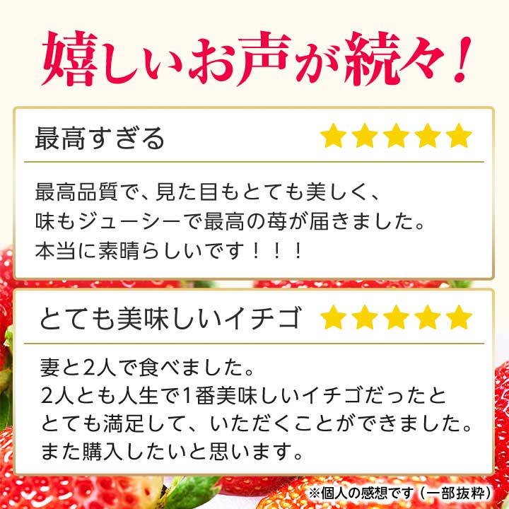 【ふるさと納税】ストロベリーみなみ こだわり　『いちご』　320g×2パック【配送不可地域：離島】【1052500】