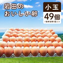 【ふるさと納税】岩田のおいしい卵　小玉49個+破卵保障5個入り【1077545】