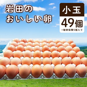 【ふるさと納税】岩田のおいしい卵　小玉49個+破卵保障5個入り【1077545】