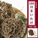 【ふるさと納税】100日まいたけ 500g×2株【配送不可地域:離島】【1267432】