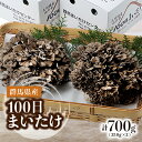 【ふるさと納税】100日まいたけ 350g×2箱【配送不可地域:離島・沖縄県】【1429408】