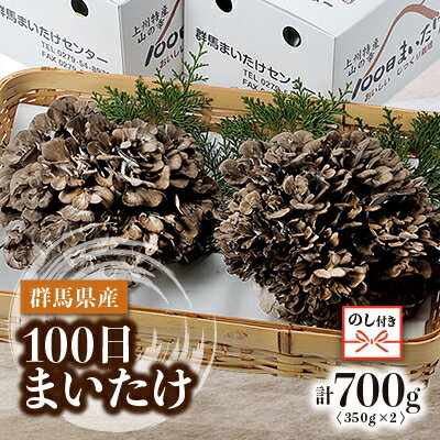 【ふるさと納税】【のし付き】100日まいたけ 350g×2箱【配送不可地域:離島・沖縄県】【1429419】