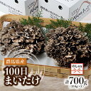 【ふるさと納税】【のし付き】100日まいたけ 350g×2箱【配送不可地域:離島・沖縄県】【1429419】